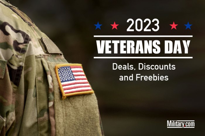 Travel Deals For Veterans