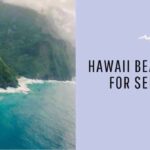 Hawaiian Tours For Seniors