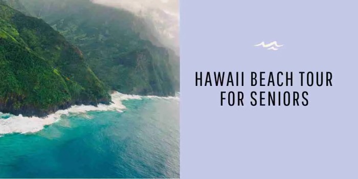 Hawaiian Tours For Seniors